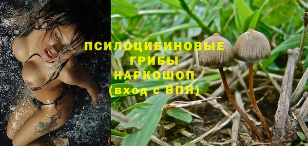 ECSTASY Козельск