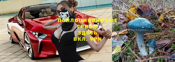 скорость Кодинск