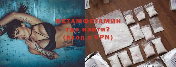 ГАЛЛЮЦИНОГЕННЫЕ ГРИБЫ Карталы