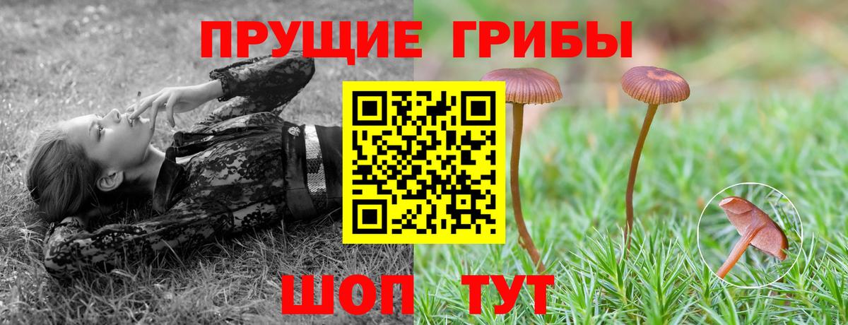 Галлюциногенные грибы мицелий Красноперекопск
