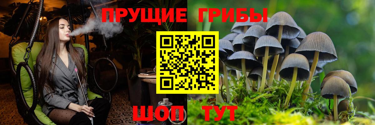 Красноперекопск  Псилоцибиновые грибы Cubensis  Вход с VPN  даркнет сайт  Галлюциногенные грибы ЛСД 